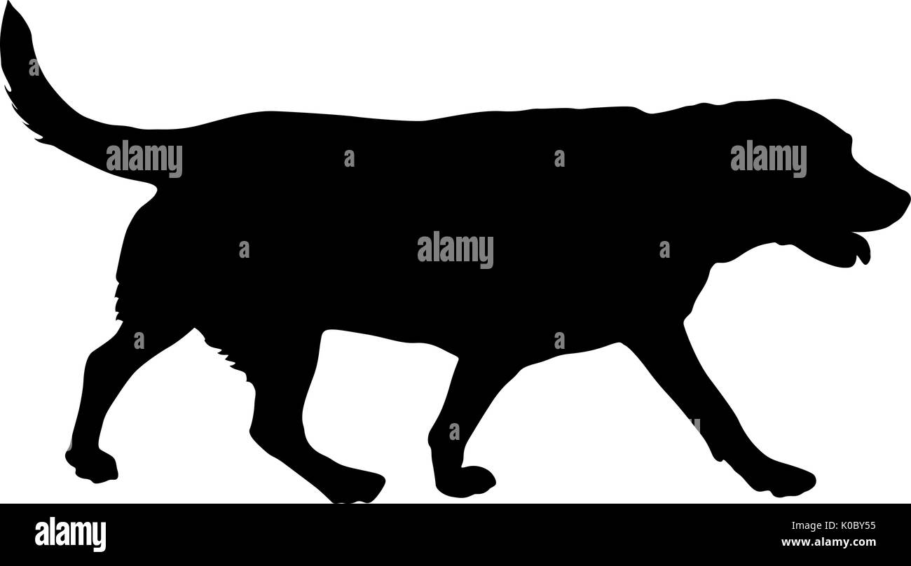 Chien Labrador silhouette sur un fond blanc Illustration de Vecteur