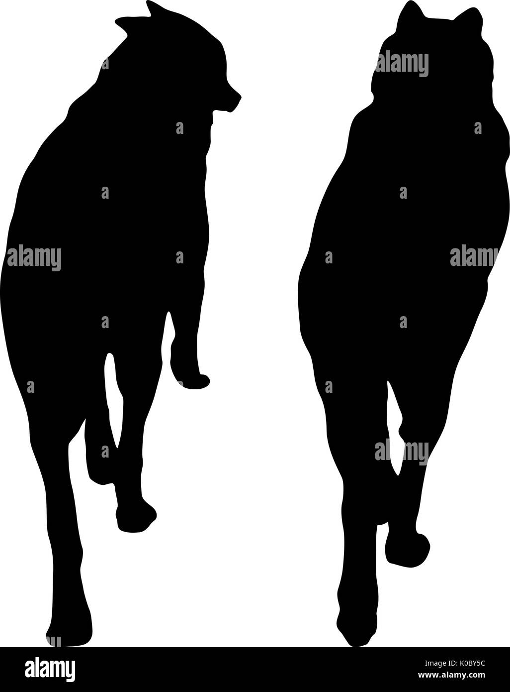 Shepherd Dog silhouette sur un fond blanc Illustration de Vecteur