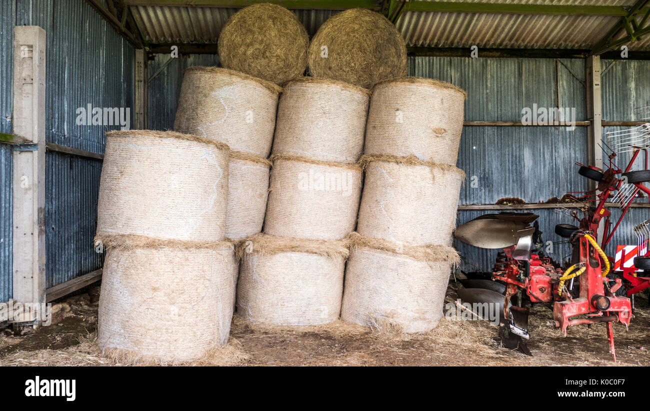 Une pile de rouleaux de foin, empilés dans une grange en carton ondulé, après les dernières récoltes, aux côtés de machines agricoles. Devon, England, UK. Banque D'Images