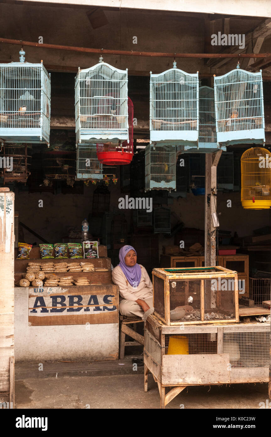 Femme vendant des fournitures d'oiseaux de compagnie au marché d'oiseaux et d'animaux à Denpasar, dans le Sud de Bali, Indonésie. Banque D'Images