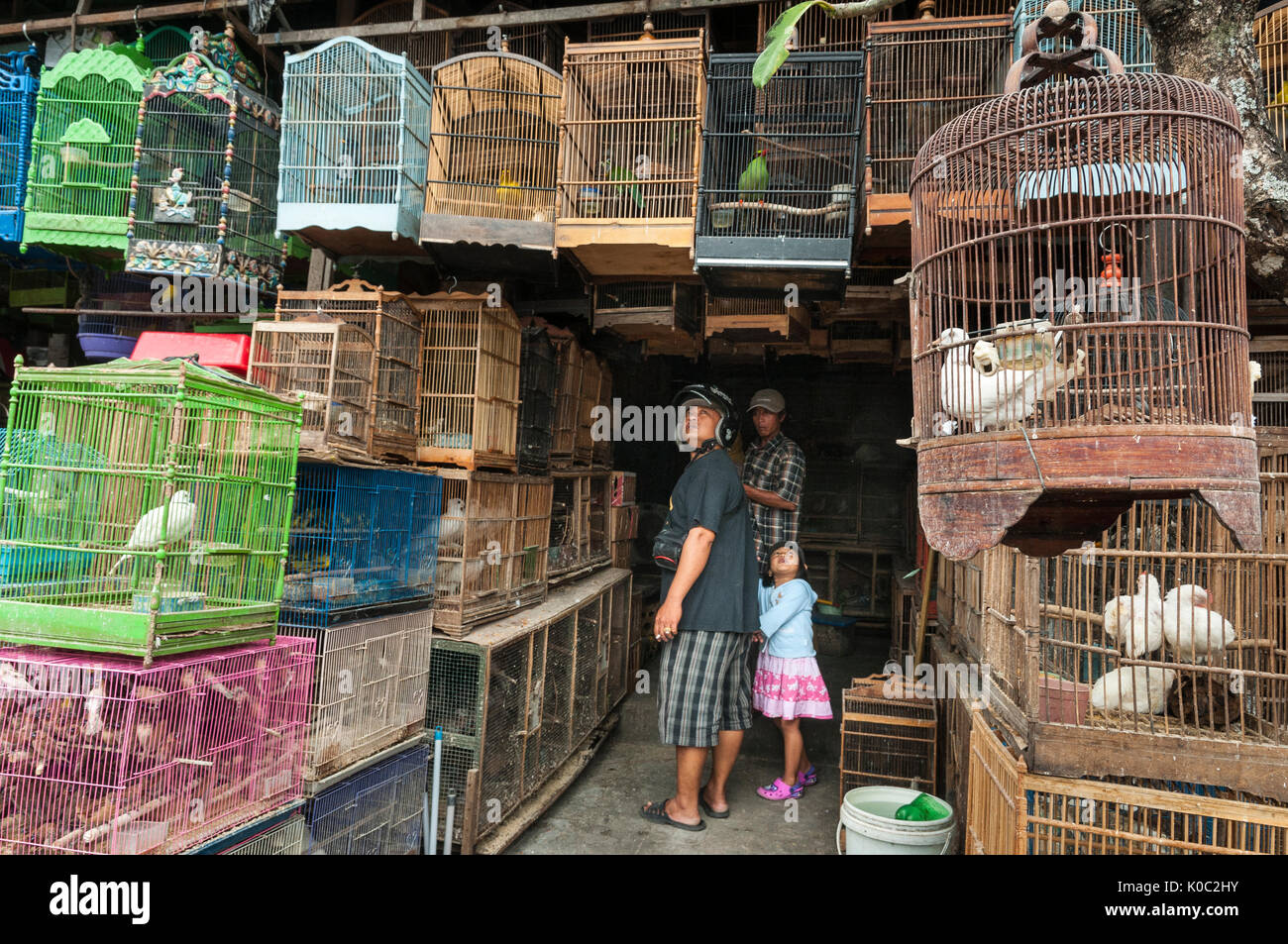 Les clients d'admirer les oiseaux dans le marché d'animaux et d'oiseaux à Denpasar, dans le Sud de Bali, Indonésie. Banque D'Images