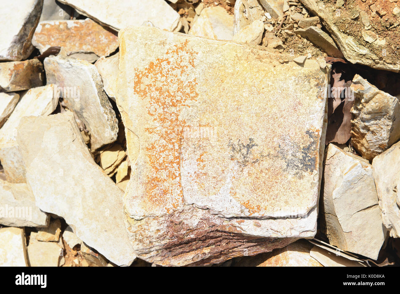 Les minéraux des roches calcaires sur les dendrites de solnhofen horizons plein cadre. Banque D'Images