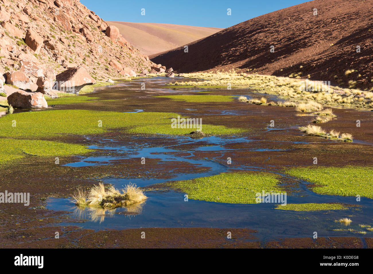 L'Amérique du Sud, Cordillère des Andes, Atacama, San Pedro de Atacama, paysage de l'Altiplano Banque D'Images