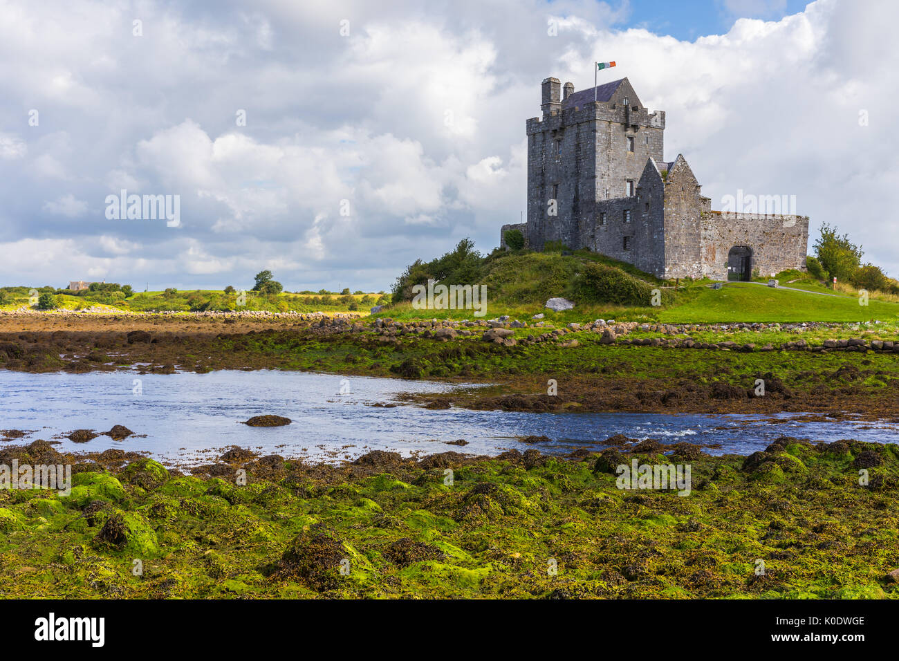 Dunguaire Castle est un 16e siècle Tower House sur la côte sud-est de la baie de Galway dans le comté de Galway, Irlande, près de Kinvara (également orthographié Kinvarra) Banque D'Images