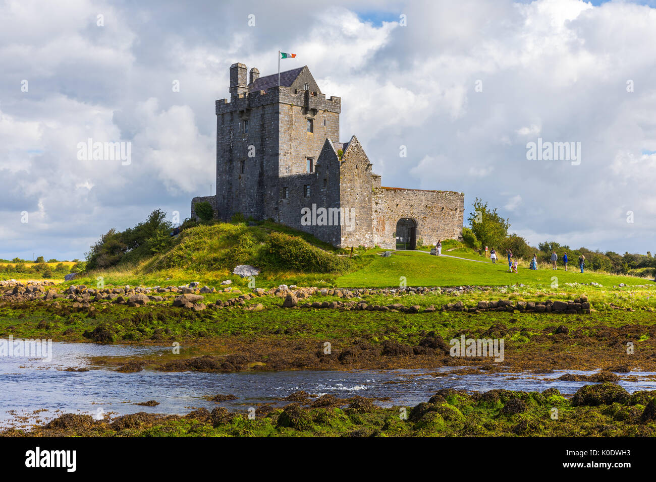 Dunguaire Castle est un 16e siècle Tower House sur la côte sud-est de la baie de Galway dans le comté de Galway, Irlande, près de Kinvara (également orthographié Kinvarra) Banque D'Images