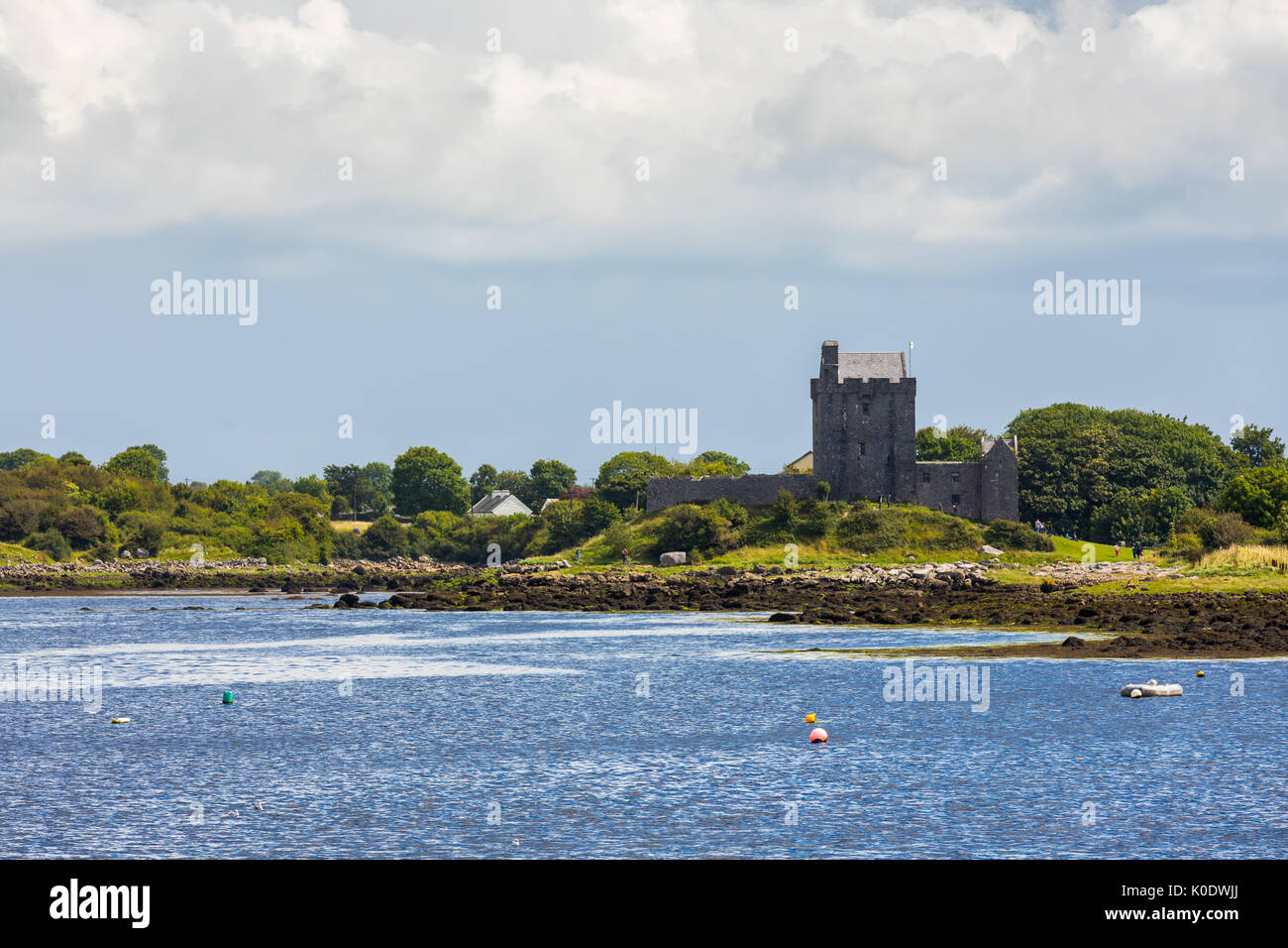 Dunguaire Castle est un 16e siècle Tower House sur la côte sud-est de la baie de Galway dans le comté de Galway, Irlande, près de Kinvara (également orthographié Kinvarra) Banque D'Images