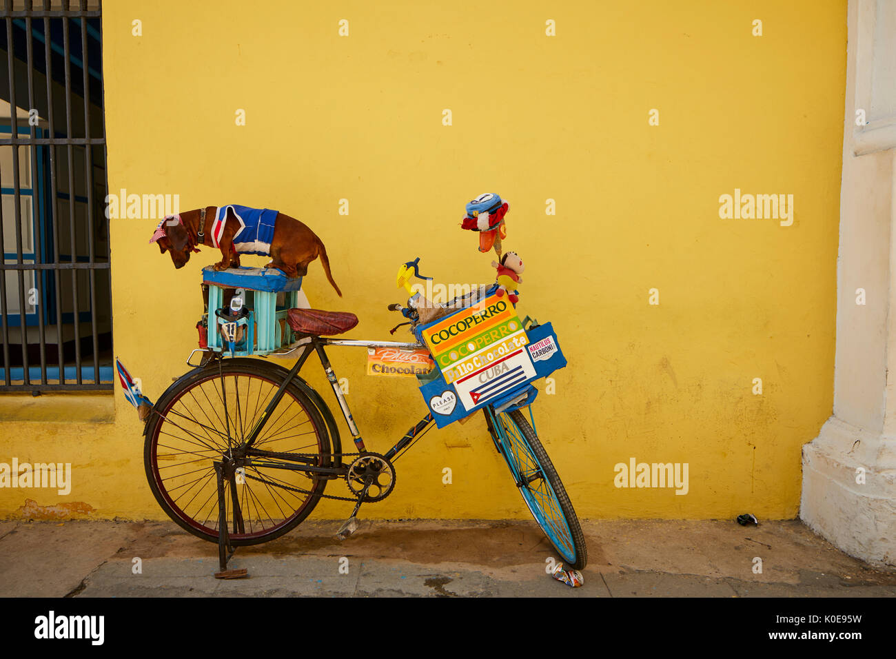 Cuba Cuba La Havane, capitale, vieille ville busker habillé petit chien pose sur un vélo pour des conseils Banque D'Images