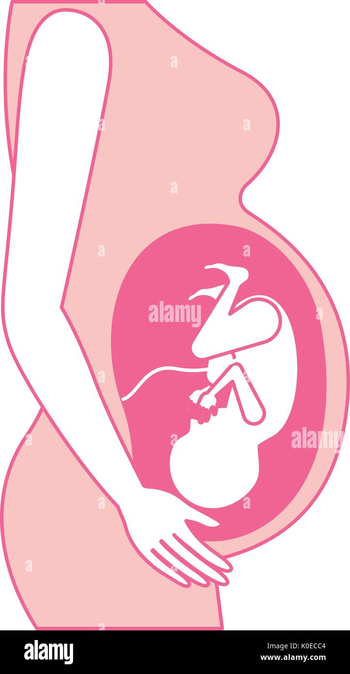 Silhouette rose vue du côté du corps féminin dans le processus de grossesse foetus croissance humaine 9e mois Illustration de Vecteur