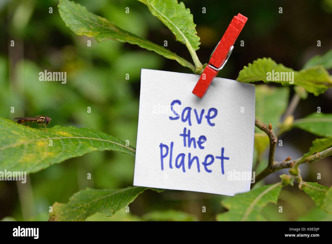 Sauver la planète - ecology concept Banque D'Images