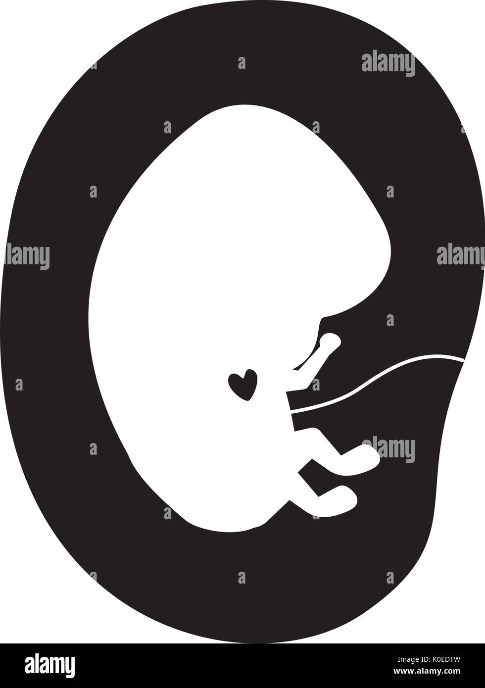 Silhouette noire vue du côté de l'embryon humain dans la croissance du fœtus placenta Illustration de Vecteur