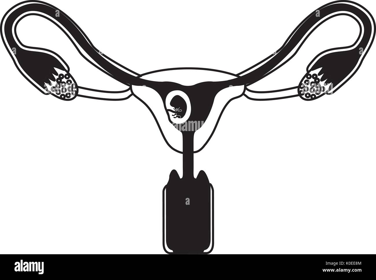 Silhouette noire du système reproducteur féminin ovaires avec fœtus quelques semaines de croissance humaine Illustration de Vecteur