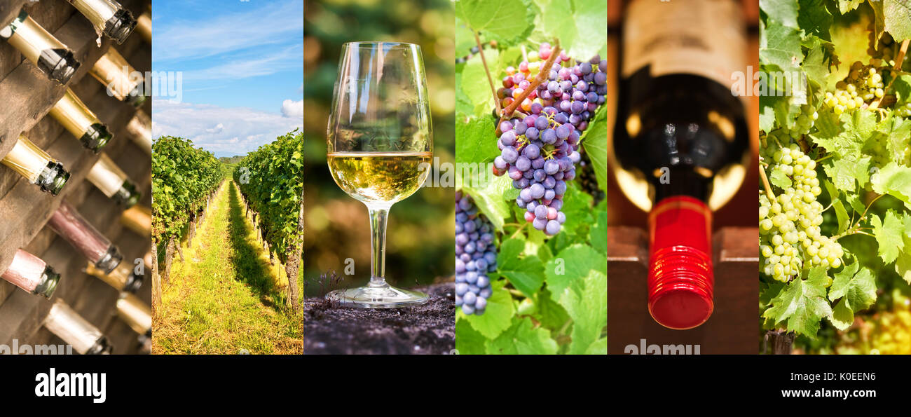 L'œnologie et du vin photo collage panoramique, vin concept Banque D'Images