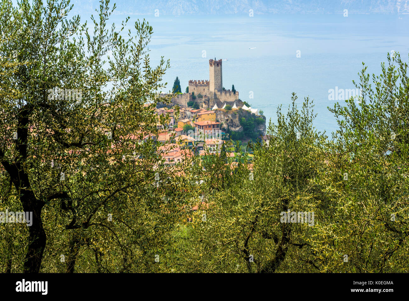 Vue de Malcesine et le château du 14ème siècle assis sur le bord du lac de Garde en Italie, l'Europe Banque D'Images