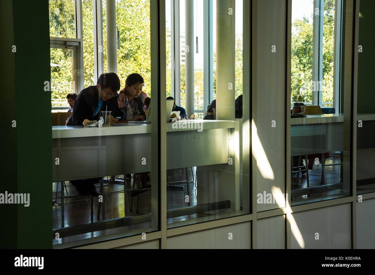 Un cliché en angle latéral à travers la fenêtre intérieure du Brody Cafe qui surplombe le Brody Learning Commons, où une étudiante féminine se concentre sur son ordinateur portable et un étudiant de sexe masculin vérifie son téléphone parmi d'autres étudiants étudiant à l'Université Johns Hopkins, Baltimore, Maryland, le 10 mai 2013. Avec la permission d'Eric Chen. Banque D'Images