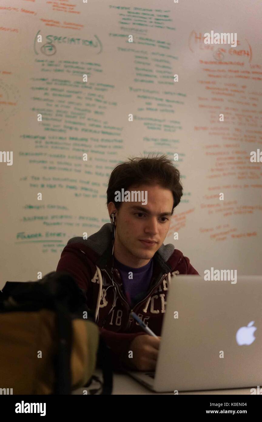 Les études d'un étudiant sur son ordinateur portable avec des notes portant sur des tableaux blancs derrière lui dans les communes, un apprentissage brody/collaboration interactive espace d'étude et de la bibliothèque sur l'homewood campus de l'université Johns Hopkins de Baltimore, Maryland, 2014. courtesy eric chen. Banque D'Images