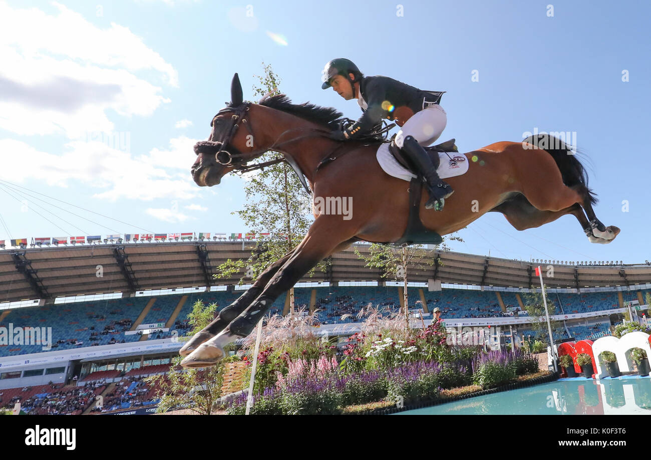 cheval espagnol et saut d’obstacle