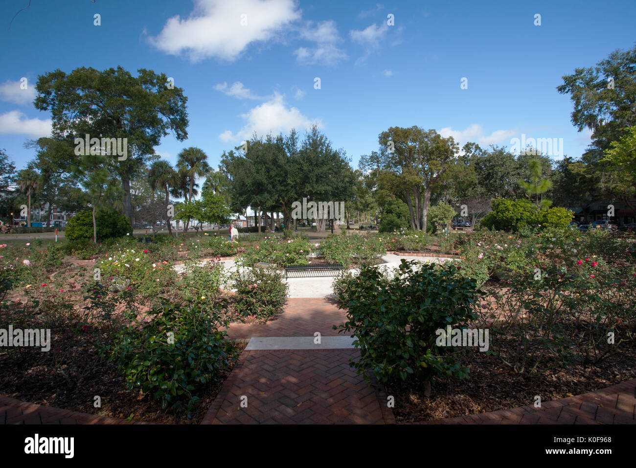 Fontaine et jardins dans Central Park Winter Park, Floride Banque D'Images