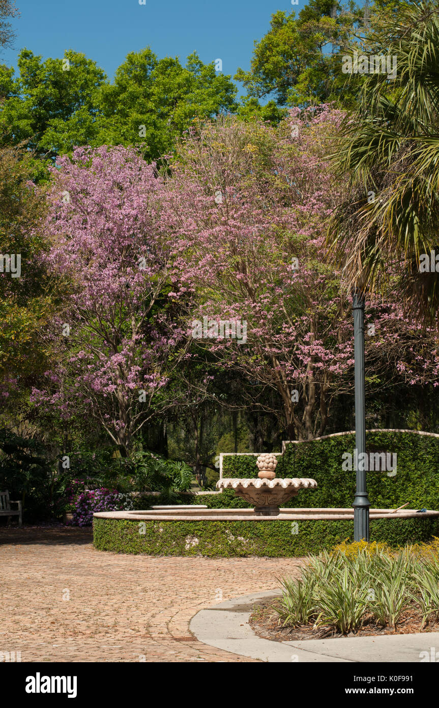 McKean Arboretum sur Park Avenue, Winter Park, Floride Banque D'Images