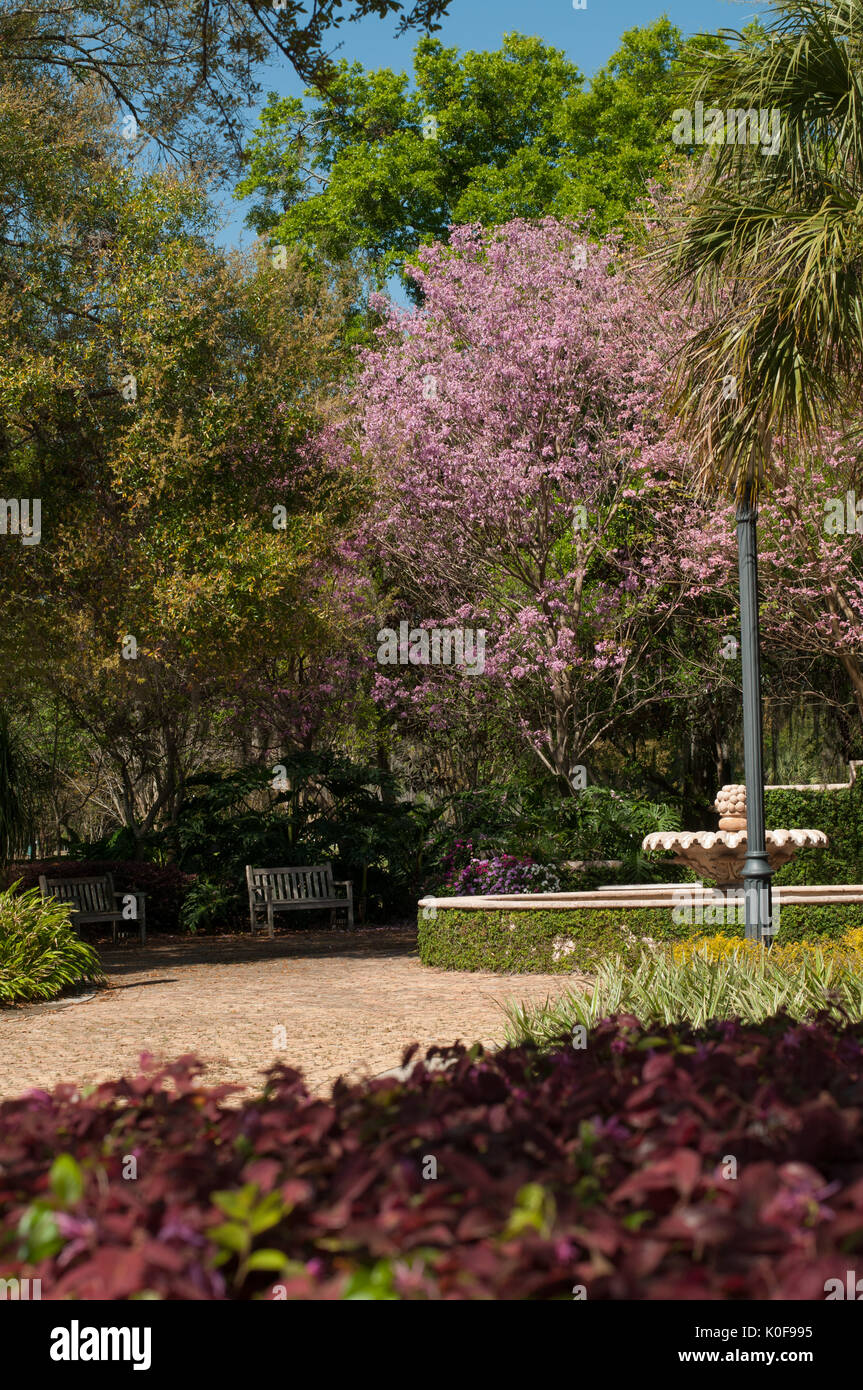 McKean Arboretum sur Park Avenue, Winter Park, Floride Banque D'Images