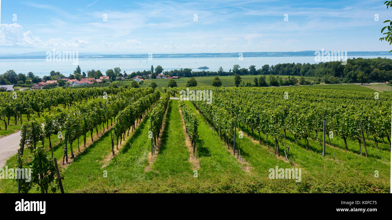 Vue depuis le point de vue Hochberg sur Radolfzell au bord du lac de Constance - Immenstaad, Lac de Constance, Bade-Wurtemberg, Allemagne, Europe Banque D'Images