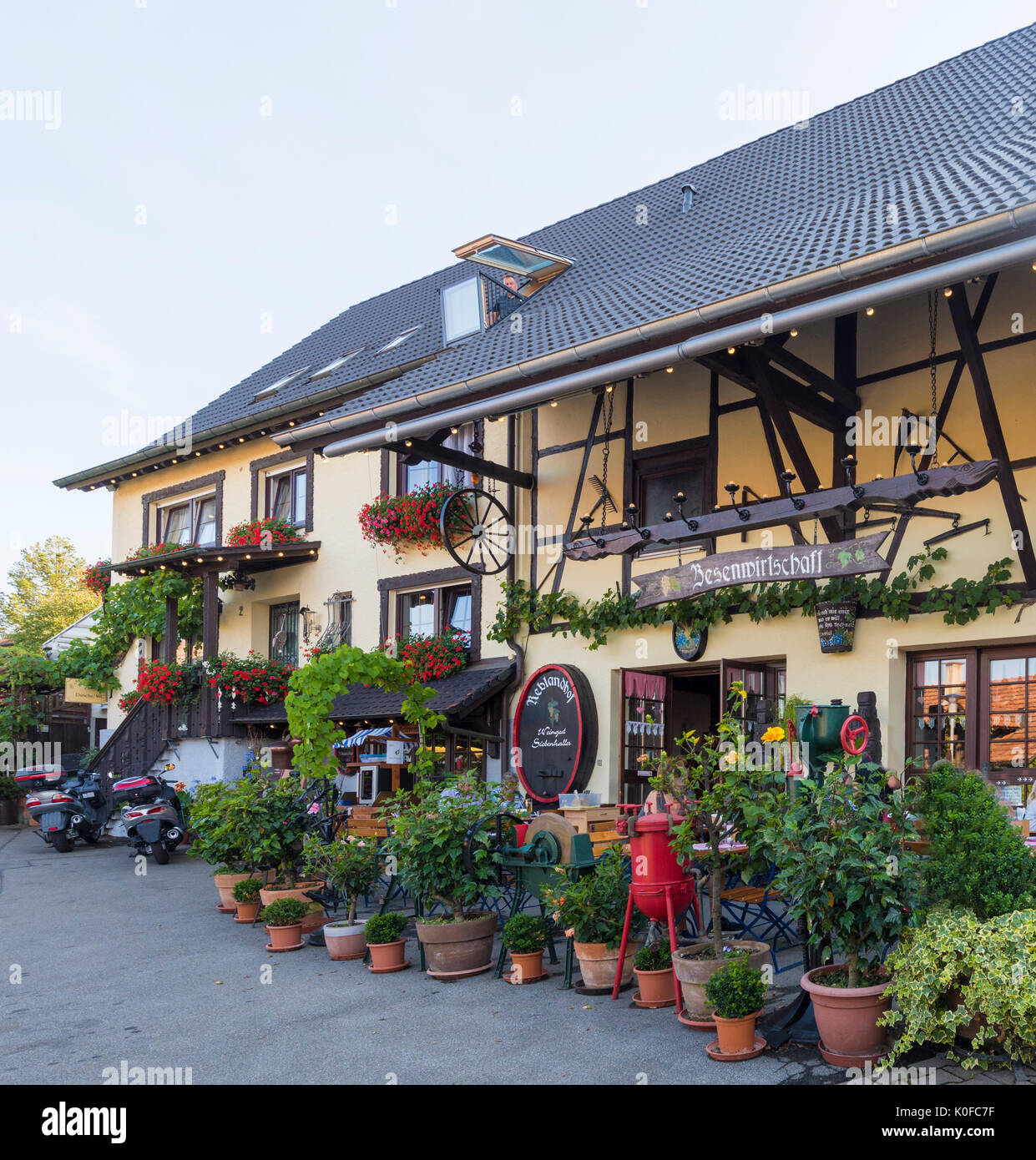 Taverne à vin près de Radolfzell au bord du lac de Constance - Immenstaad, Lac de Constance, Bade-Wurtemberg, Allemagne, Europe Banque D'Images