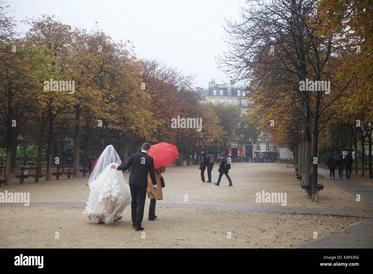 Mariage à Paris Banque D'Images