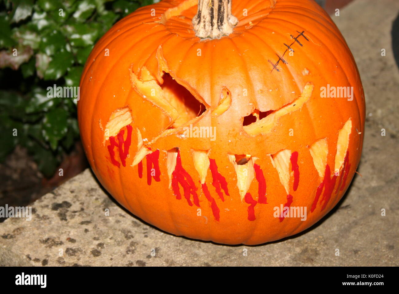 Citrouille citrouille sculptée pour Halloween Banque D'Images