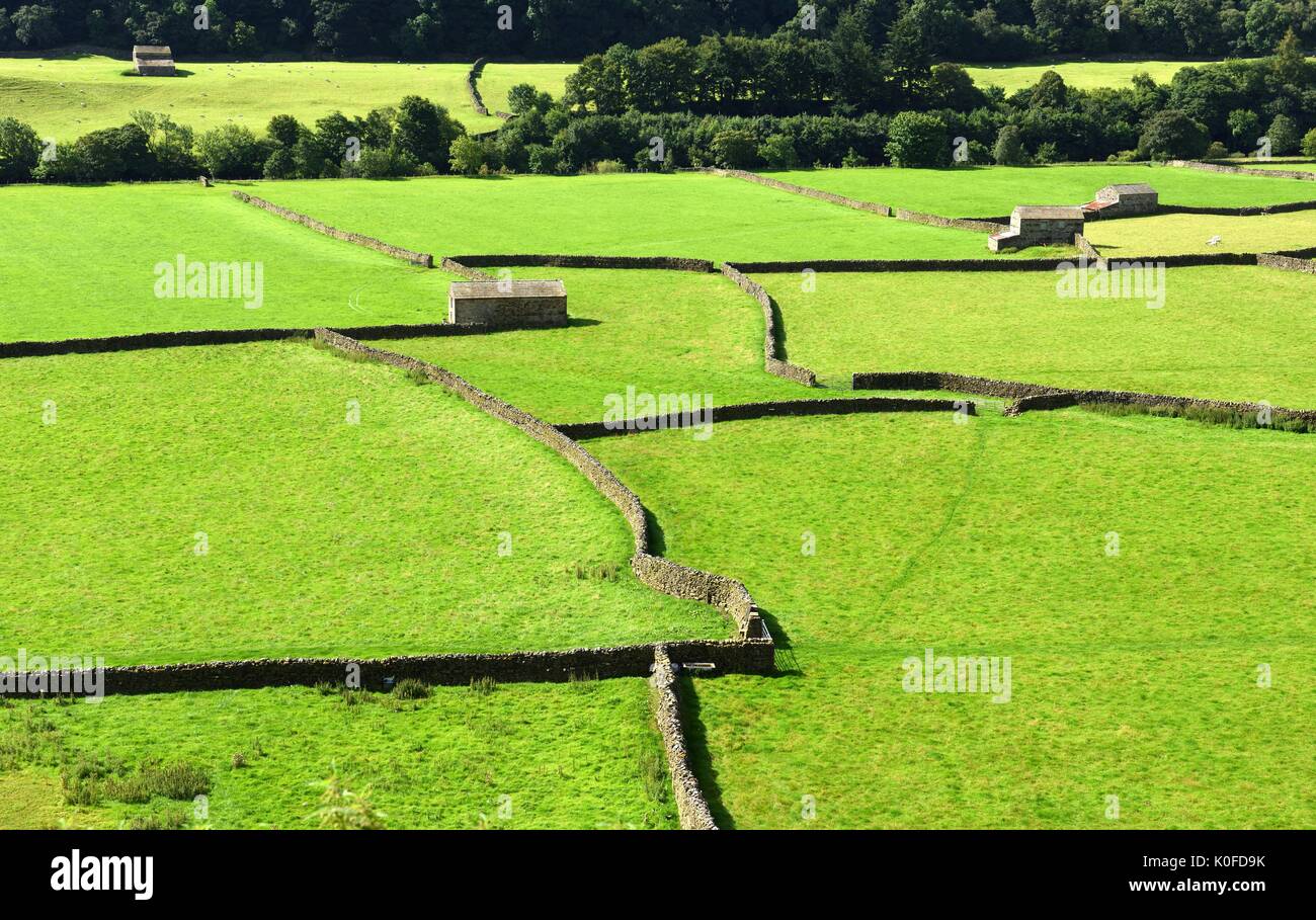 Murs de pierres sèches, Gunnerside au Yorkshire Banque D'Images