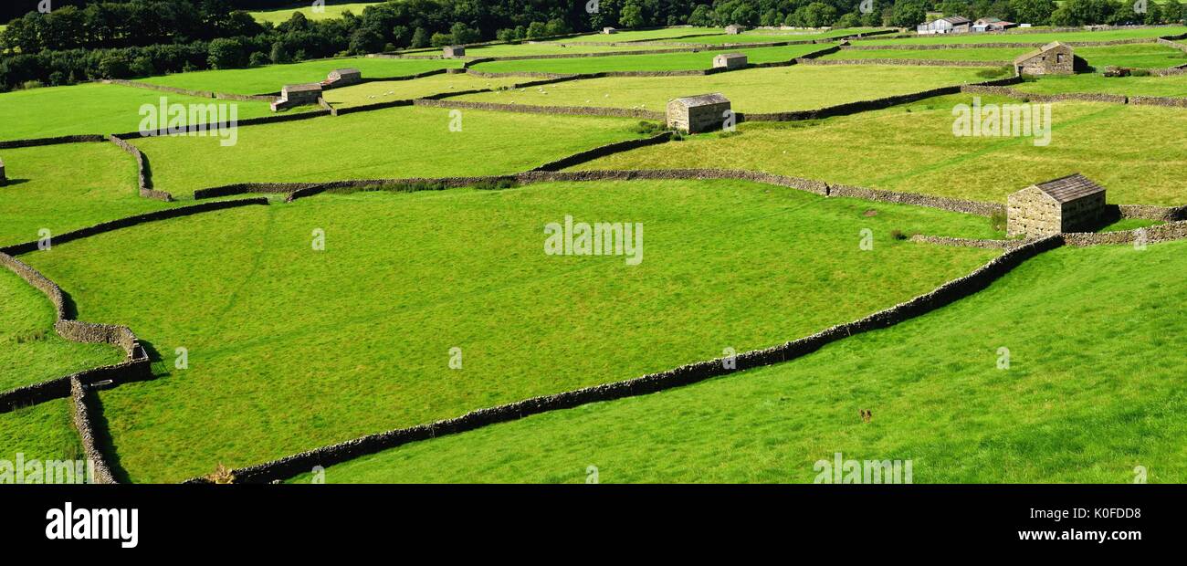 Murs de pierres sèches, Gunnerside au Yorkshire Banque D'Images