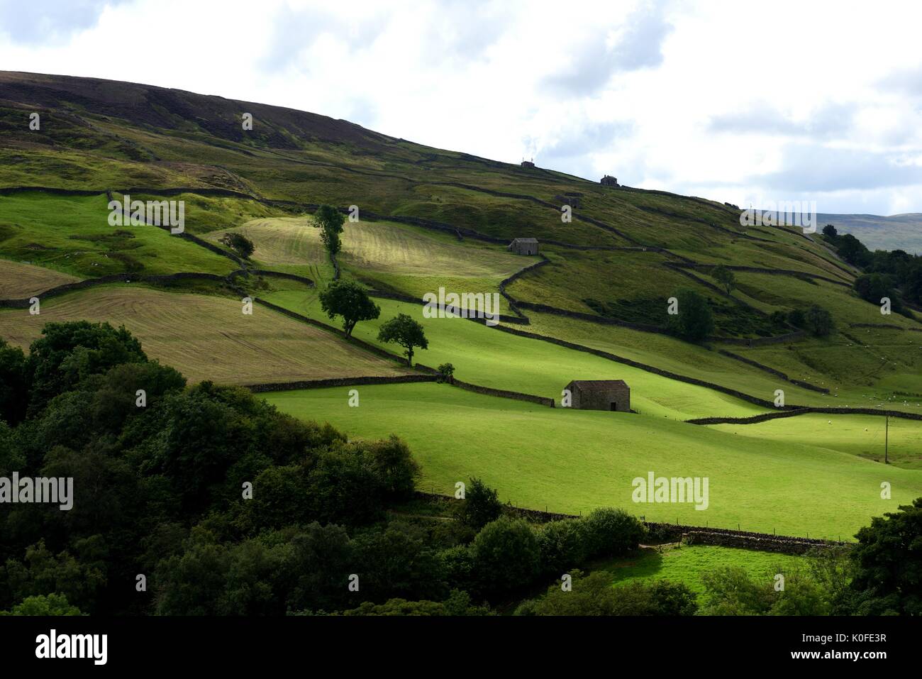 Dans la vallée de Swaledale Yorkshire Banque D'Images