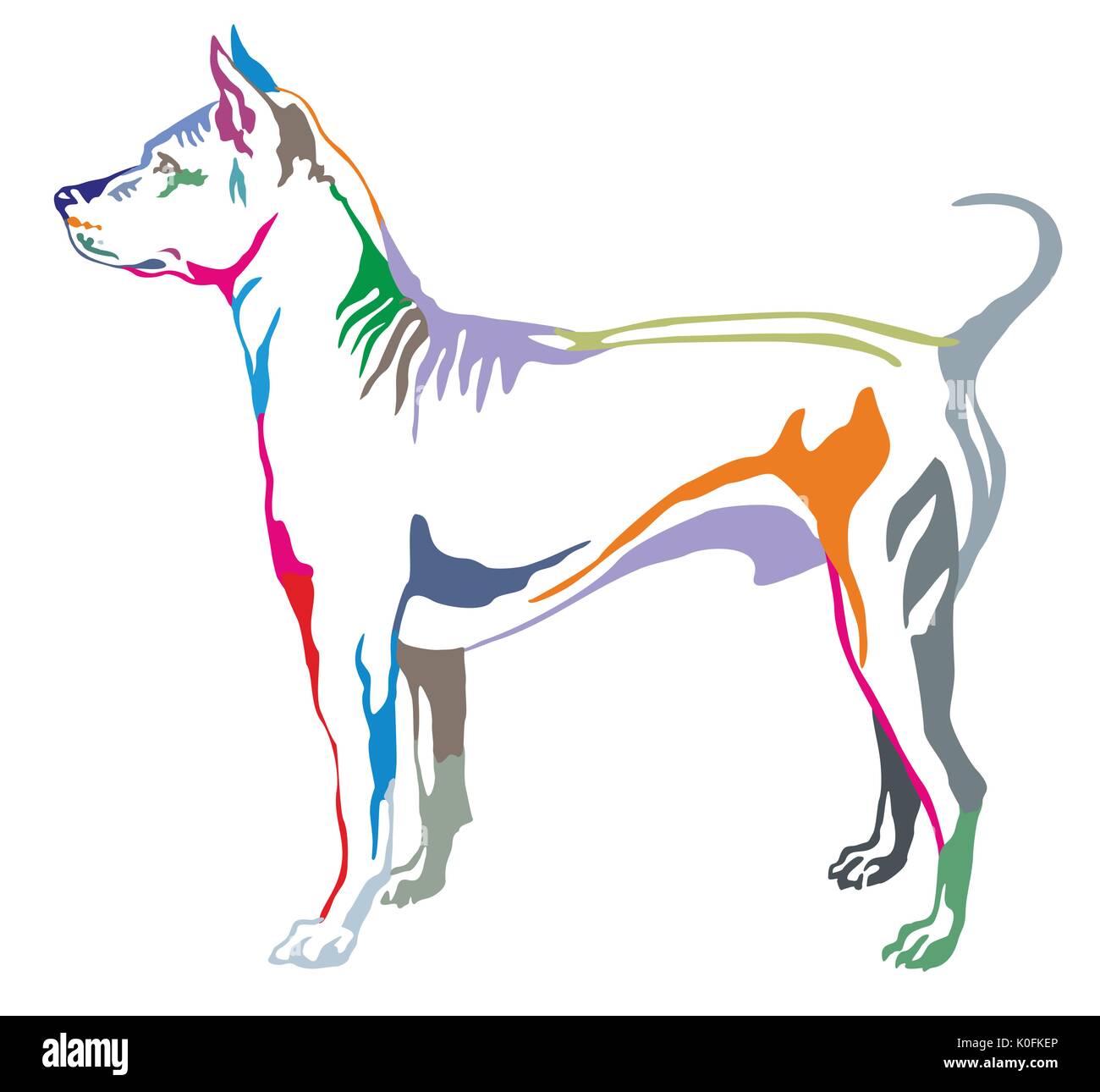 Portrait décoratives colorées de l'article profil de chien Grand Spitz, vector illustration isolé sur fond blanc Illustration de Vecteur