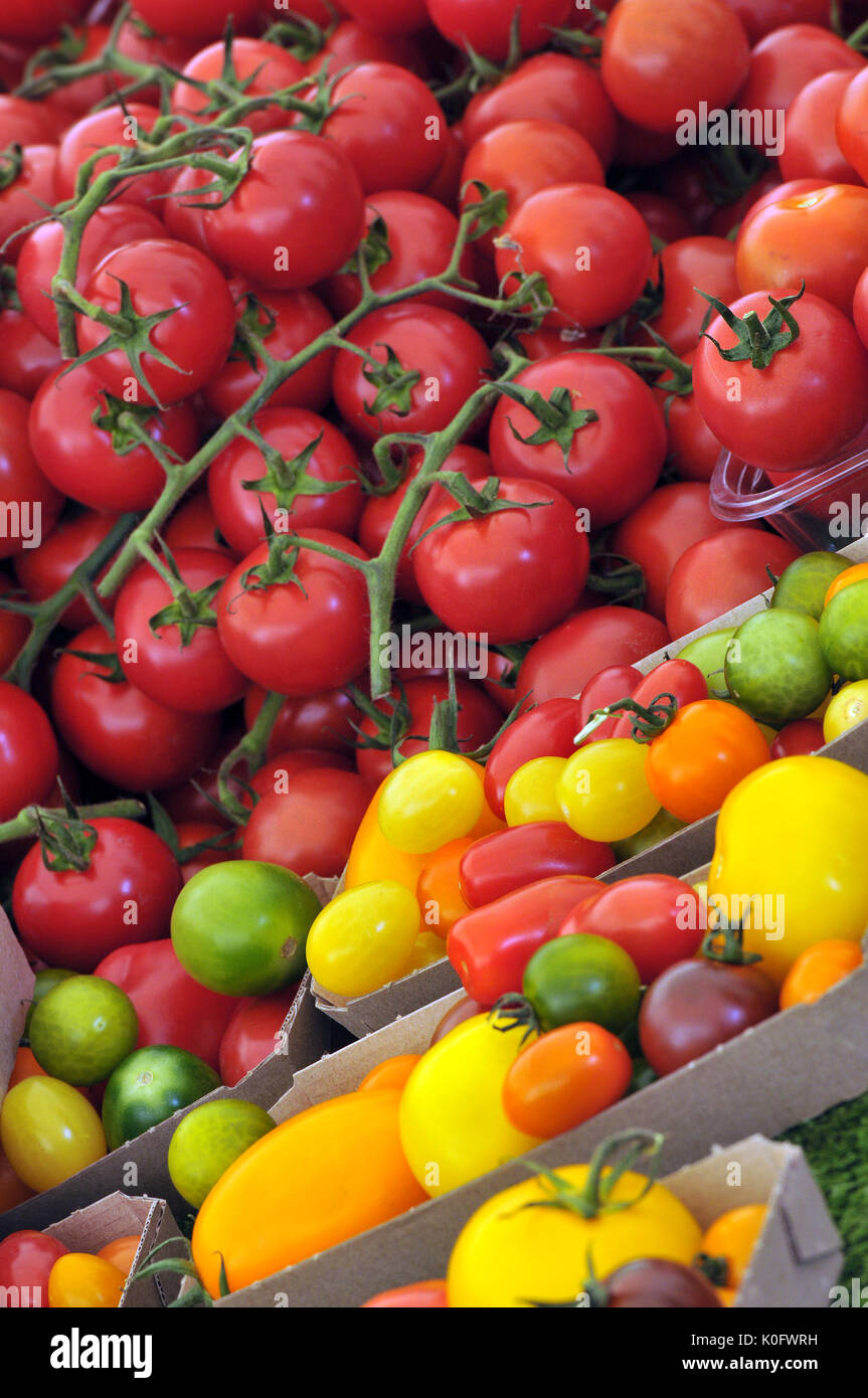 Divers Les tomates jaune rouge et vert stripy en vente présentés et exposés à la vente dans le cadre d'un festival sur l'île de Wight Banque D'Images