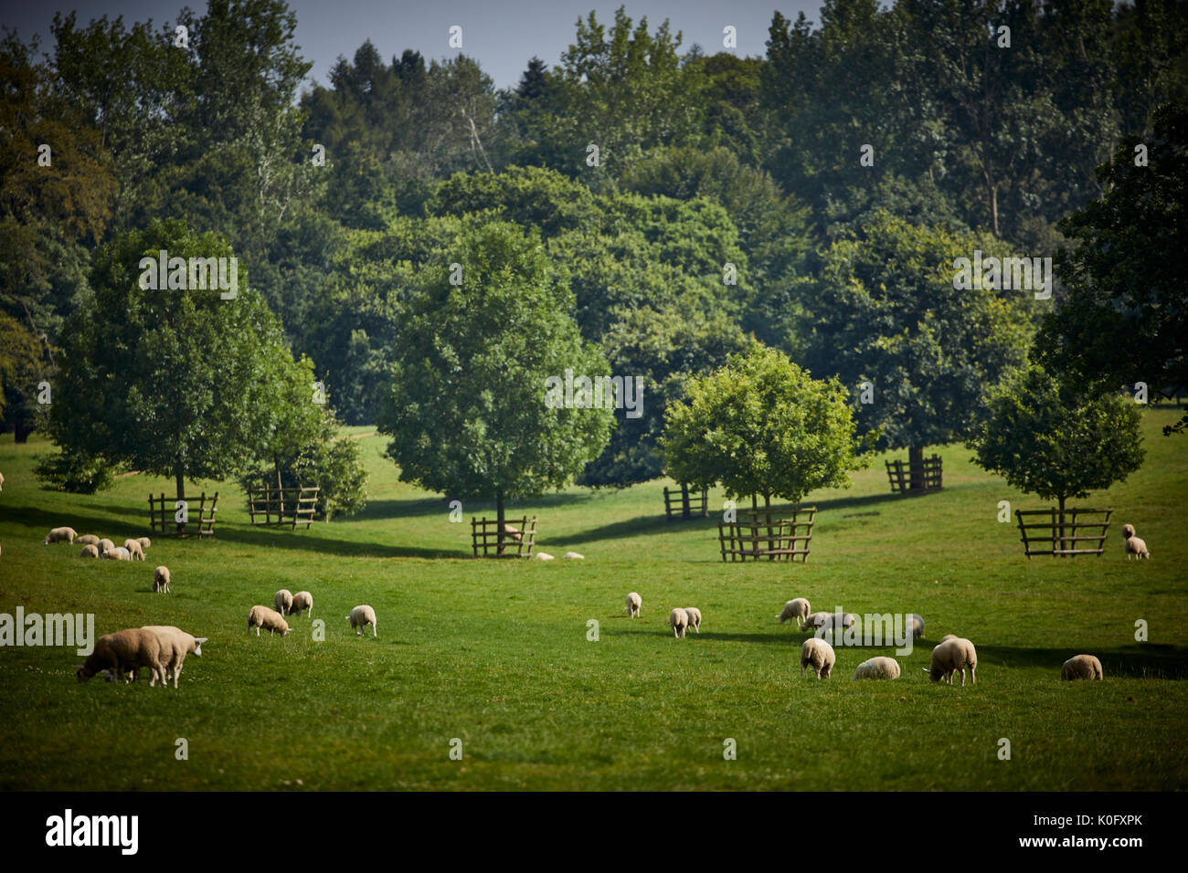 Alderley Park à Nether Alderley, Cheshire, un parc d'affaires moderne situé dans immobilier campagne et ex-usine d'AstraZeneca Banque D'Images