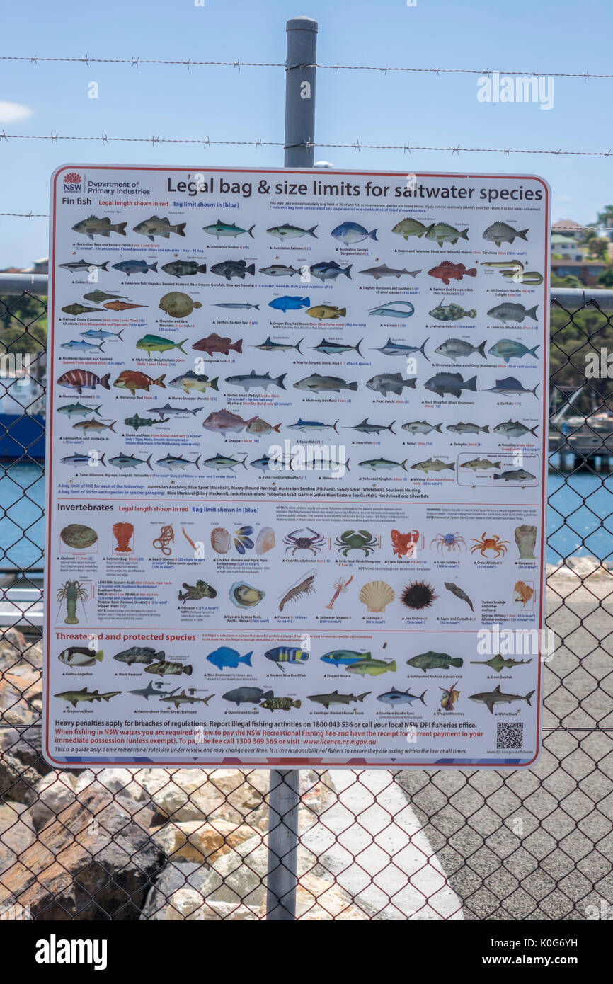 Gouvernement de Nouvelle-Galles du Sud Sac juridique et les limites de taille pour les poisson de mer affiche sur l'affichage à l'Eden Port New South Wales Australie Banque D'Images