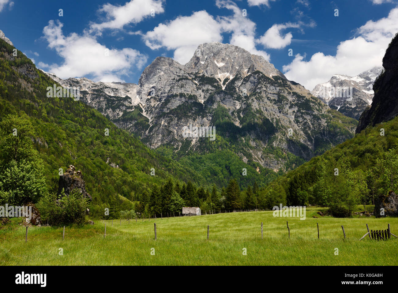 Prairie alpine dans Trenta Slovénie avec Pihavec Triglav et des pics de montagne dans le parc national du Triglav Alpes Juliennes au printemps Banque D'Images