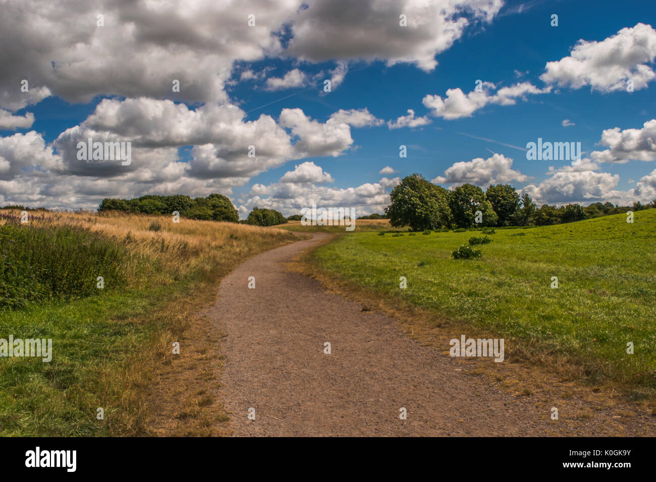 Paysage d'un parc boisé avec de hautes herbes et d'arbres avec une corde et des poteaux de clôture le long d'une allée de gravier côté et un ciel bleu avec des nuages blancs dans l'arrière-plan Banque D'Images