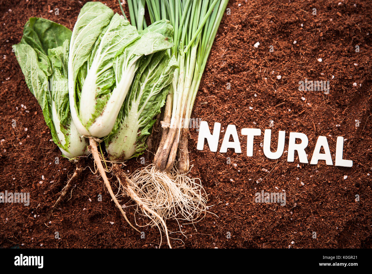 Les légumes frais et les lettres dans le sol naturel pour Banque D'Images