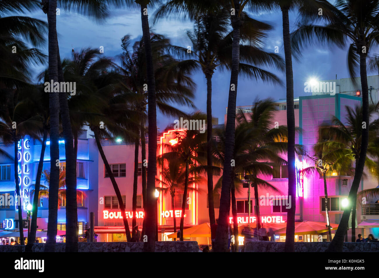 Miami Beach Florida,Ocean Drive,Lummus Park,hôtels,enseignes néon,palmiers,crépuscule,nuit soir Colony Boulevard Starlite,hôtel,FL170430094 Banque D'Images