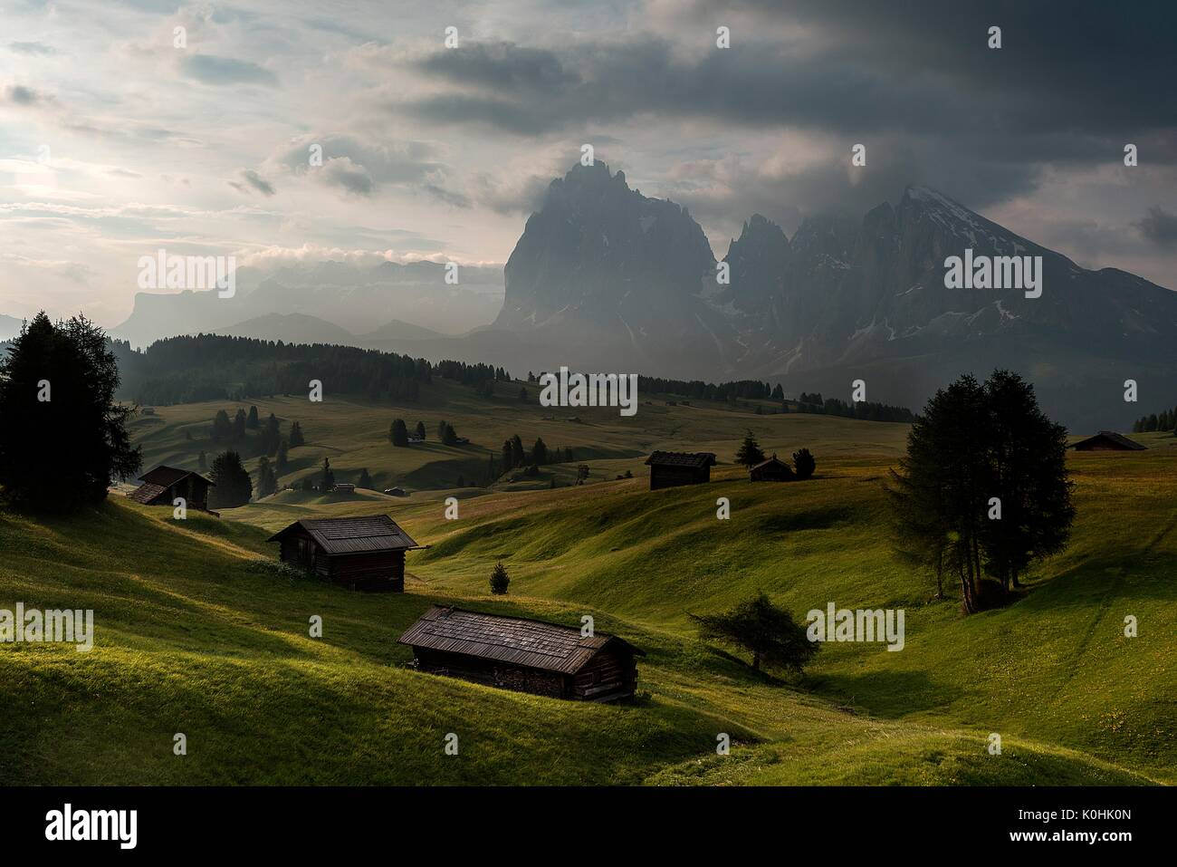 Alpe di Siusi / Seiser Alm, Dolomites, Tyrol du Sud, Italie. Tôt le matin, sur l'Alpe di Siusi / Seiser Alm. Dans l'arrière-plan les sommets de Sella, Sassolun Banque D'Images