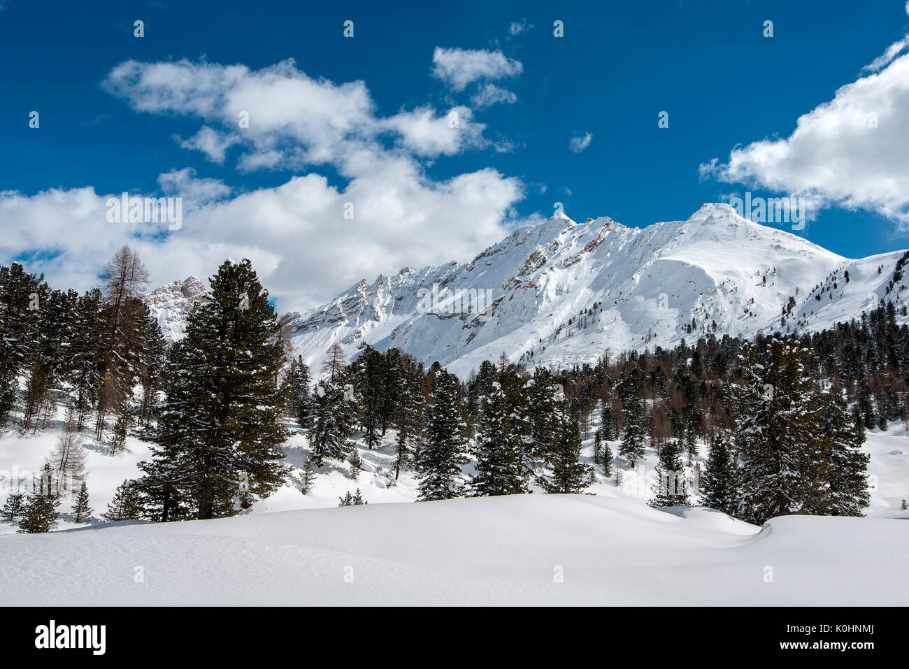 Rhodes, Dolomites, Tyrol du Sud, Italie. Le Col Becchei Banque D'Images