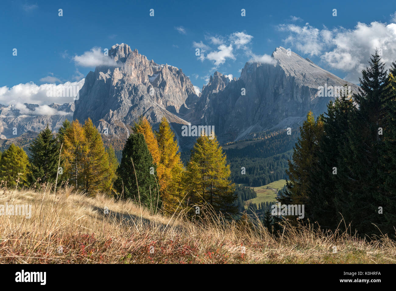 Alpe di Siusi / Seiser Alm, Dolomites, Tyrol du Sud, Italie. Couleurs d'automne sur l'Alpe di Siusi / Seiser Alm avec le Sassolungo Langkofel/Sassopiat et l Banque D'Images