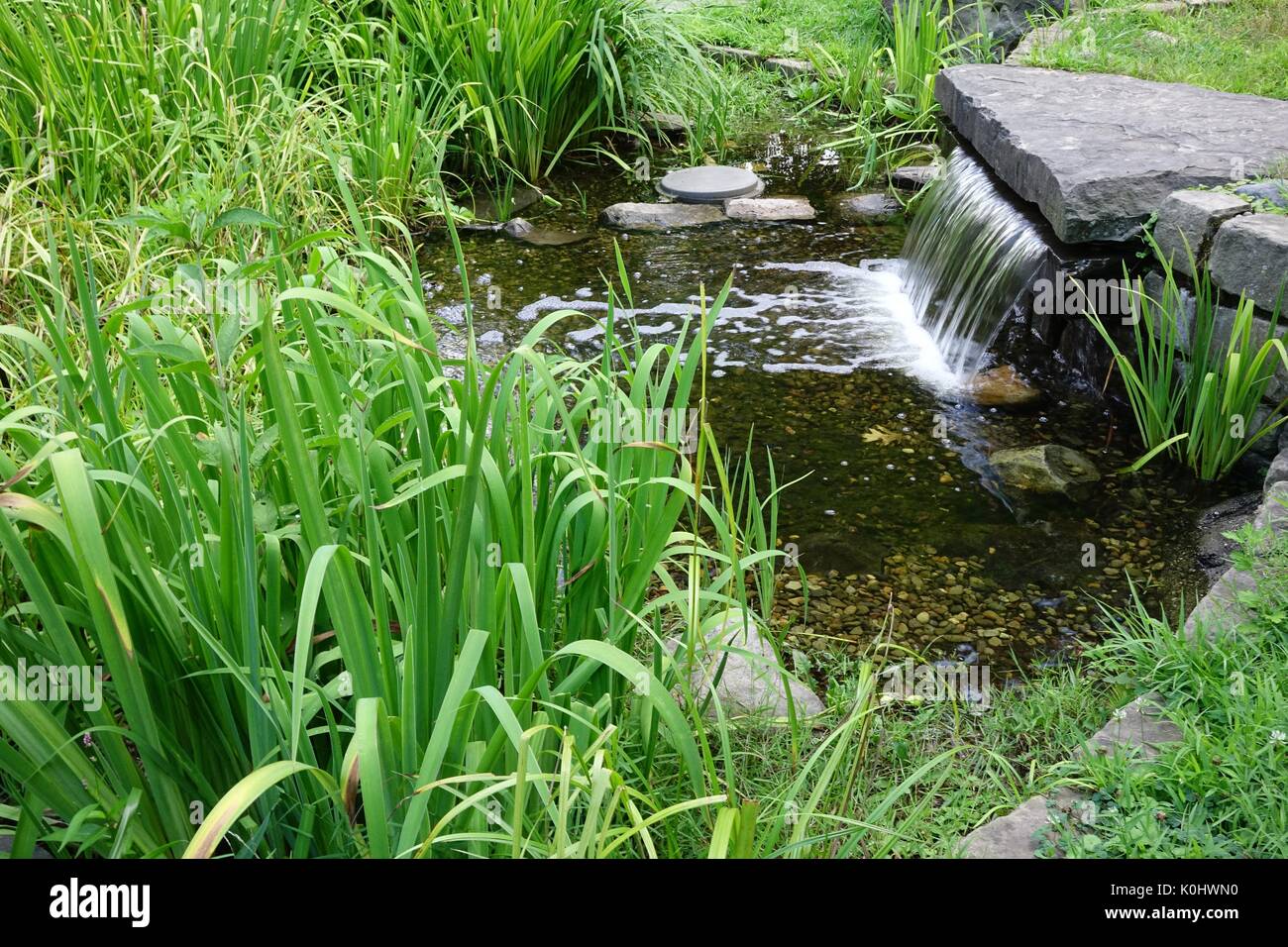 Couler de l'eau, terrasse, jardin de pluie Rutgers Gardens, New Brunswick, New Jersey Banque D'Images