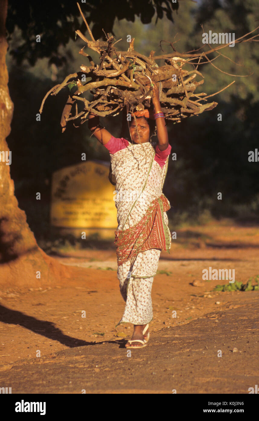 Femme portant sur sa tête de bois recueillis, Odisha (Orissa), Inde Banque D'Images