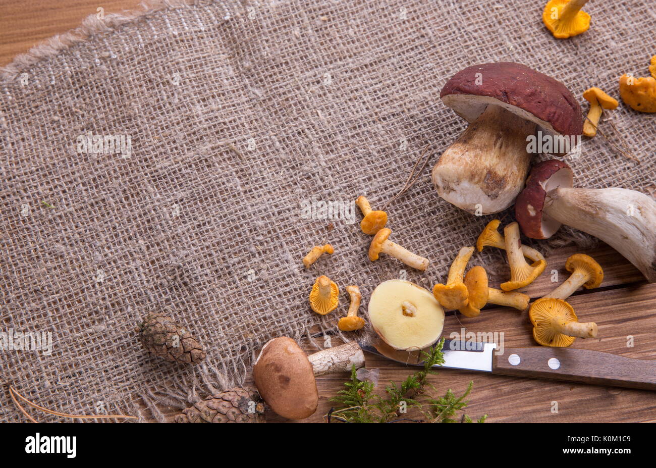 Champignons frais sauvages sur une table en bois rustique. Chanterelles, cèpes, Russula. Copyspace Banque D'Images