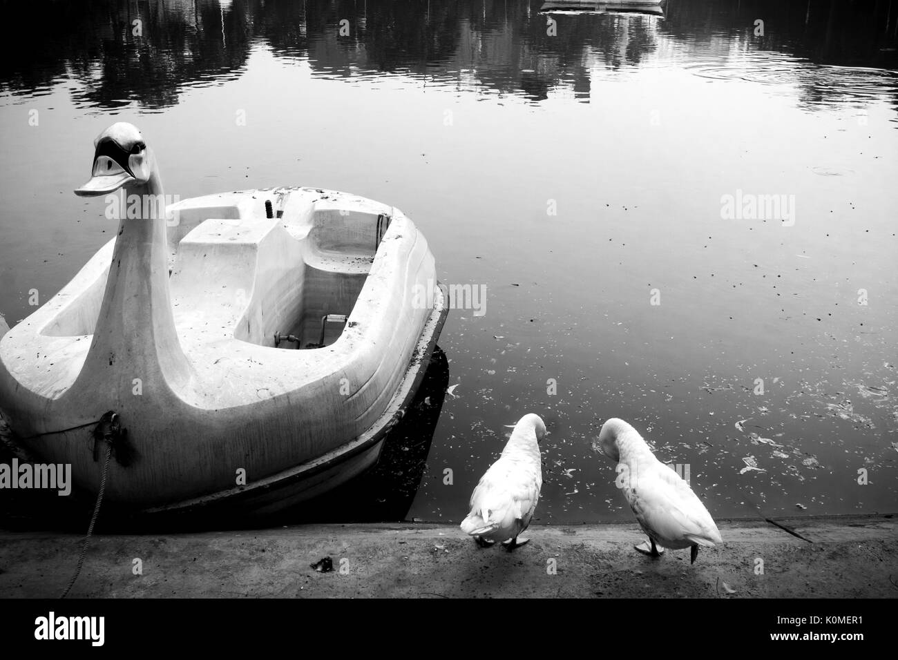 Bateau de canard dans les lacs, Kolkata, Bengale occidental, Inde, Asie Banque D'Images