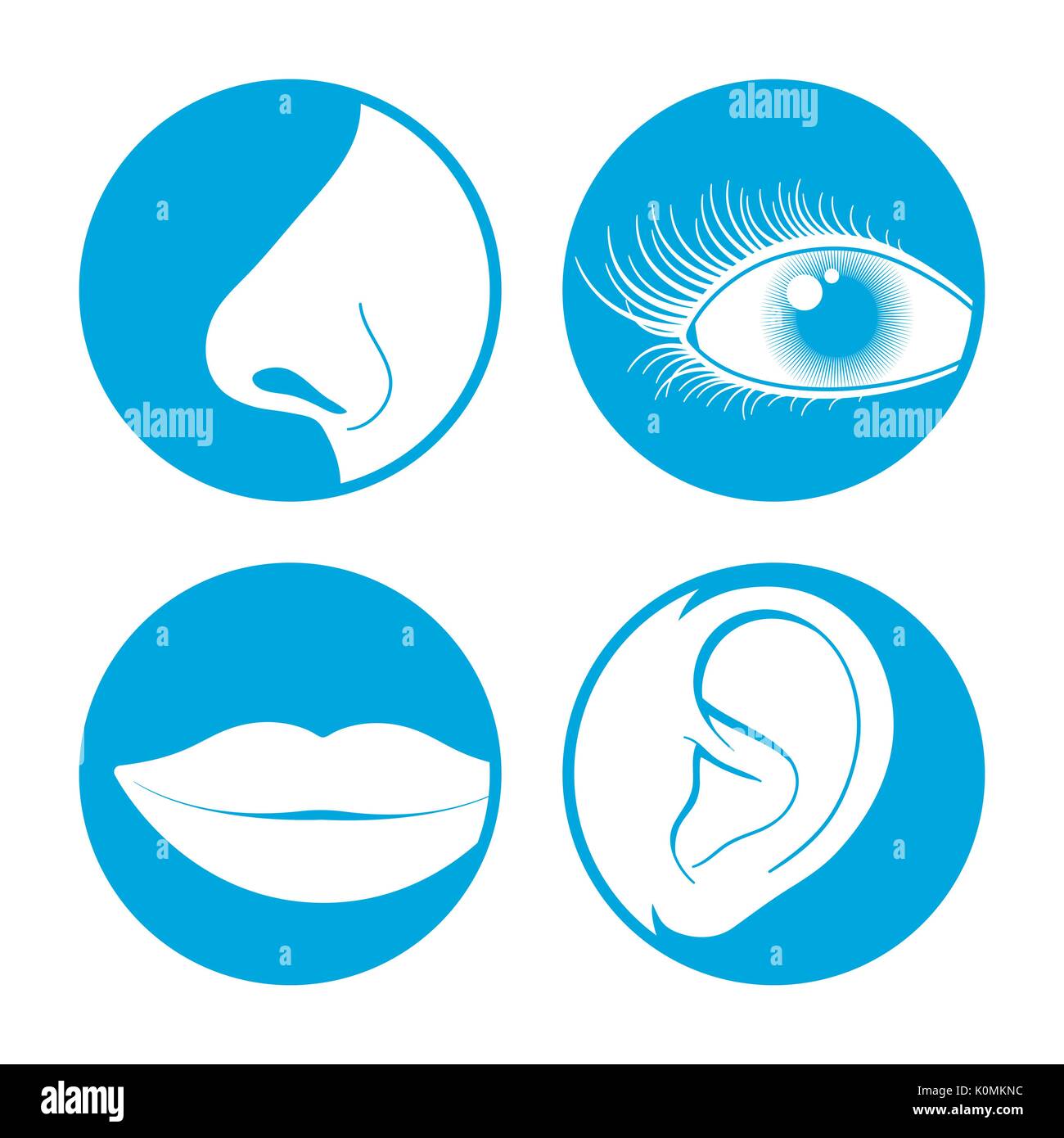 Nez, yeux, bouche et oreille illustration icon set Image Vectorielle Stock  - Alamy