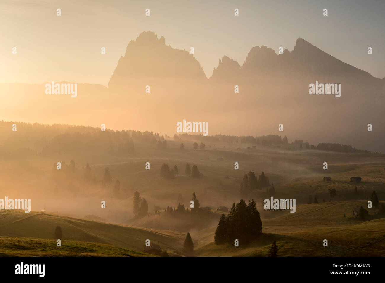 Alpe di Siusi / Seiser Alm, Dolomites, Tyrol du Sud, Italie. La lumière du matin d'automne sur l'Alpe di Siusi / Seiser Alm Banque D'Images