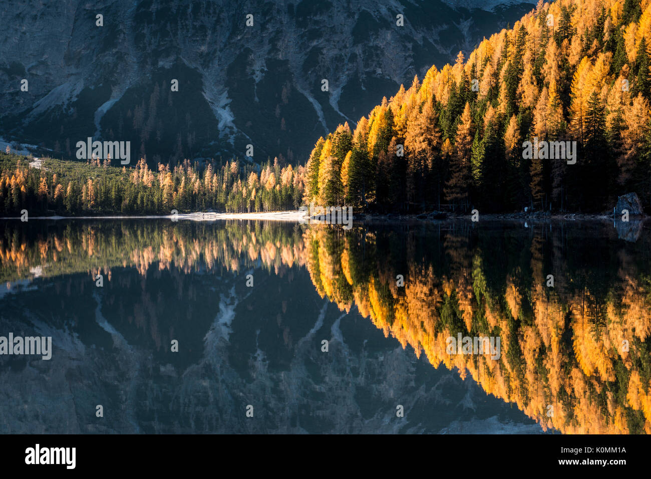 Braies / Prags, Dolomites, Tyrol du Sud, Italie. Le lac Braies / Pragser Wildsee Banque D'Images