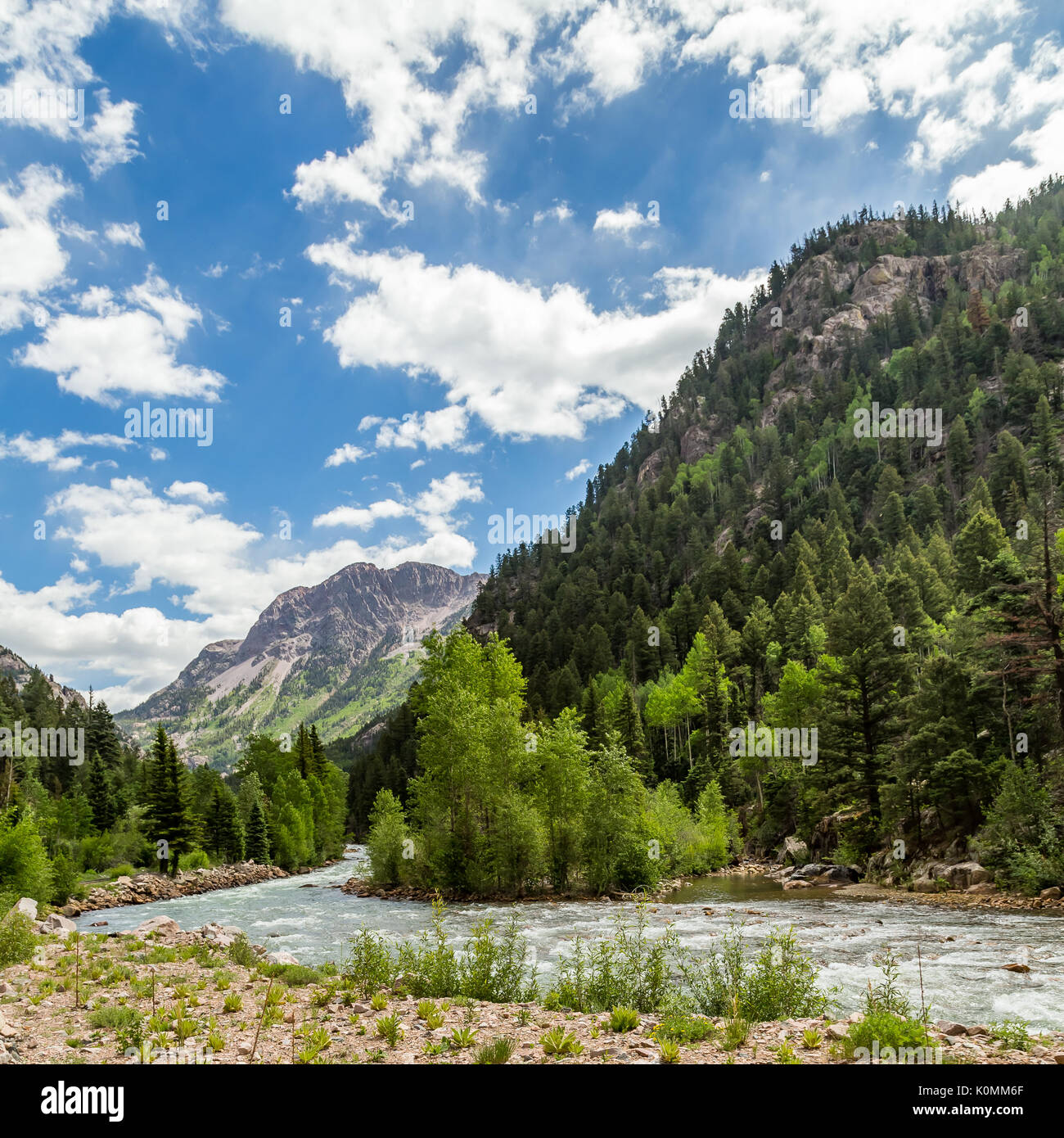 Un voyage en train au départ de Rockwood Depot le long de la rivière Animas en dehors de Durango, Colorado. Banque D'Images