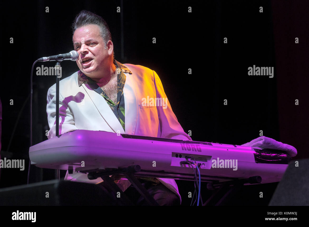 Mike Sanchez l'exécution à l'Weyfest music festival, le Centre de la vie rurale, Tilford, Surrey, Angleterre, 18 août 2017 Banque D'Images